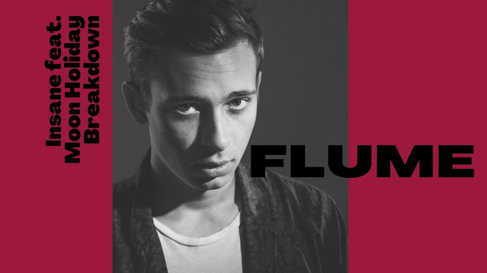 Flume "Insane feat. Moon Holiday" Breakdown