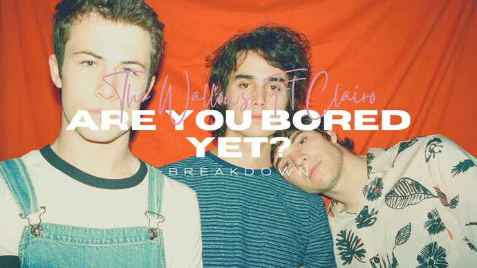Wallows "Are You Bored Yet" Breakdown